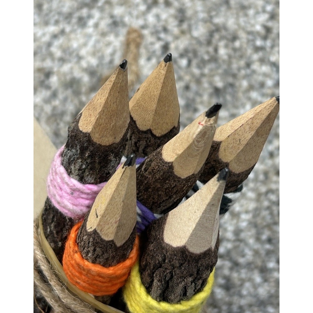 New Inspirational Branch Pencil Handmade Collection of 6 Wooden Pencils